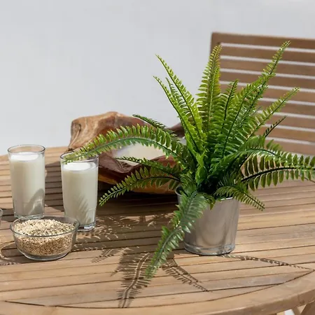 Krina Mare Boutique 3* Naxos City