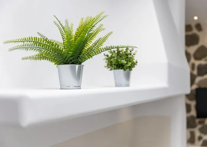 Krina Mare Boutique 酒店 Naxos City