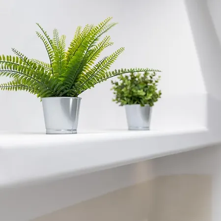 Krina Mare Boutique Hotell Naxos City